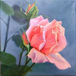 painted apricot coloured rose
