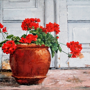 Old World Geraniums