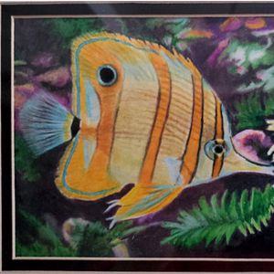 Coloured pencil painting of a tropical fish swimming in coral